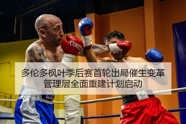 duo-lun-duo-feng-ye-ji-hou-sai-shou-lun-chu-ju-cui-sheng-bian-ge-guan-li-ceng-quan-mian-chong-jian-ji-hua-qi-dong-2-400.jpg