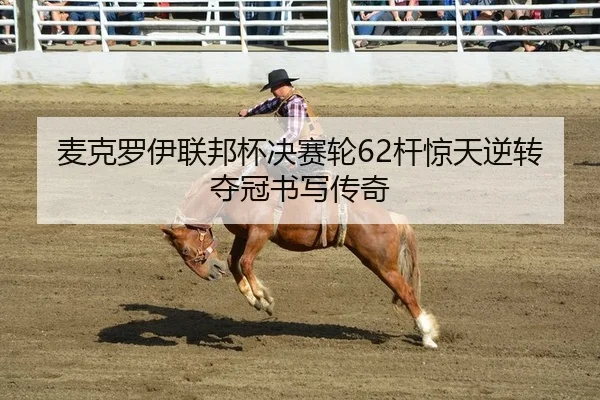麦克罗伊联邦杯决赛轮62杆惊天逆转夺冠书写传奇